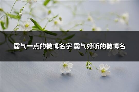 霸气一点的微博名字 霸气好听的微博名(优选361个)