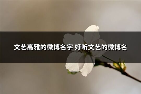 文艺高雅的微博名字 好听文艺的微博名(精选185个)