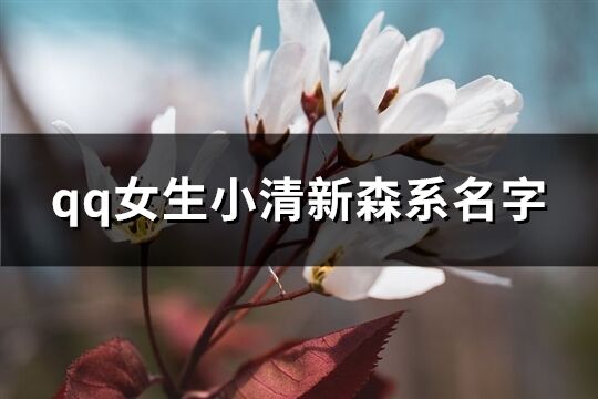 qq女生小清新森系名字(精选256个)