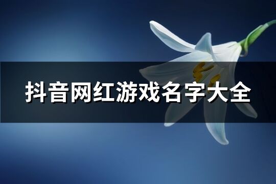 抖音网红游戏名字大全(优选303个)