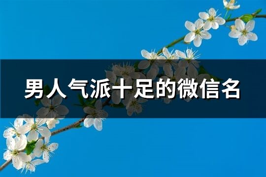 男人气派十足的微信名(575个)