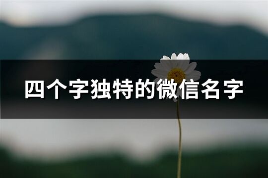 四个字独特的微信名字(优选738个)