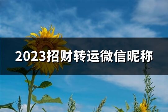 2023招财转运微信昵称(优选714个)