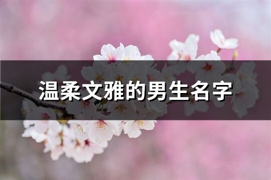 温柔文雅的男生名字(优选58个)