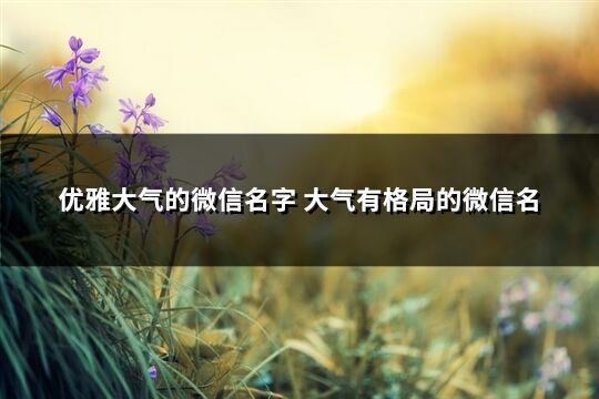 优雅大气的微信名字 大气有格局的微信名(共500个)