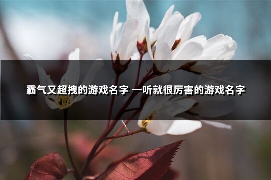 霸气又超拽的游戏名字 一听就很厉害的游戏名字(656个)