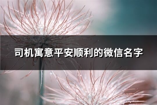 司机寓意平安顺利的微信名字(共167个)