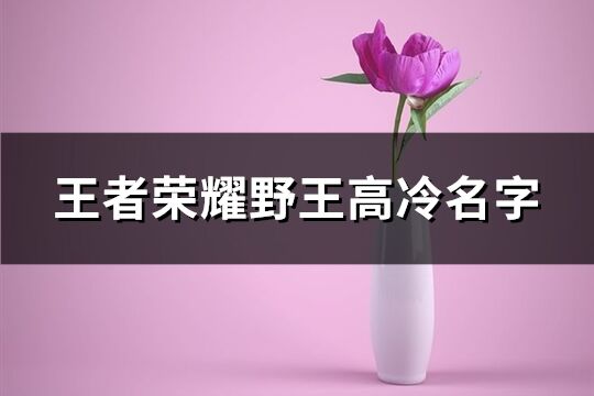 王者荣耀野王高冷名字(优选110个)