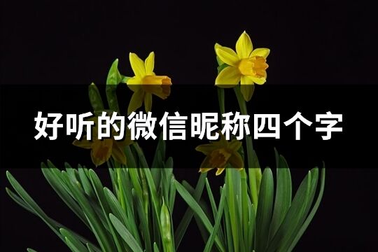 好听的微信昵称四个字(1248个)