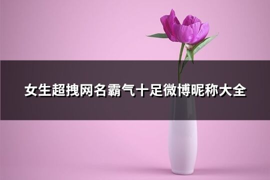 女生超拽网名霸气十足微博昵称大全(优选248个)