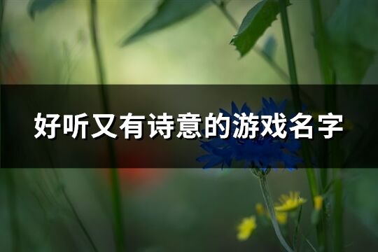 好听又有诗意的游戏名字(精选973个)