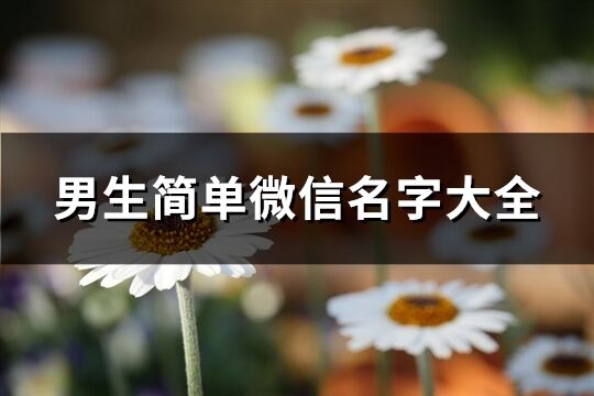 男生简单微信名字大全(优选435个)