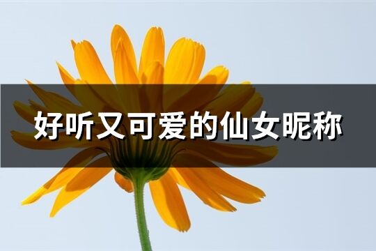 好听又可爱的仙女昵称(精选144个)