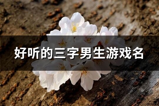 好听的三字男生游戏名(精选486个)