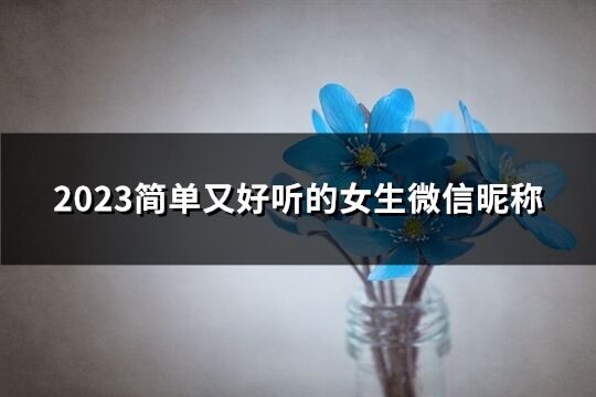 2023简单又好听的女生微信昵称(优选649个)