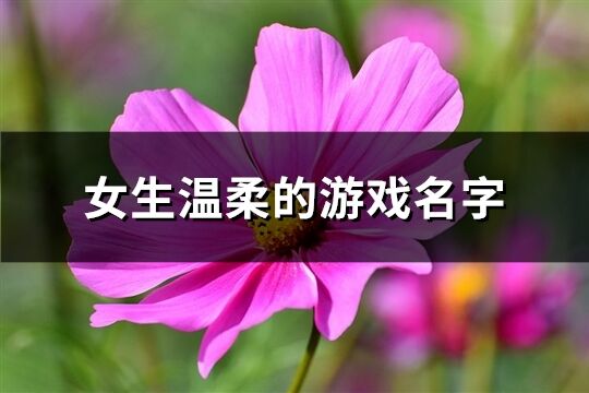 女生温柔的游戏名字(优选362个)