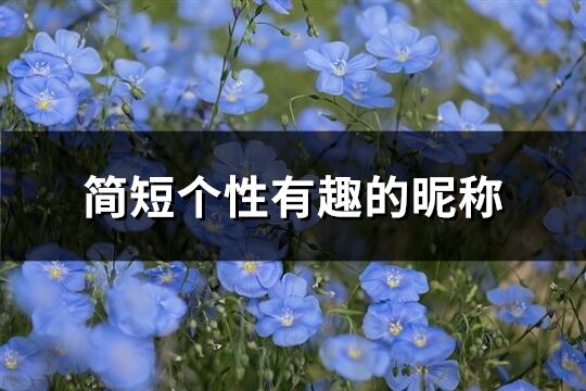 简短个性有趣的昵称(优选256个)