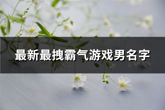 最新最拽霸气游戏男名字(726个)