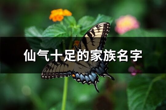 仙气十足的家族名字(共250个)