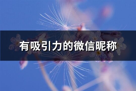 有吸引力的微信昵称(优选583个)