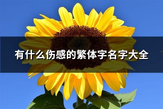 有什么伤感的繁体字名字大全(精选313个)