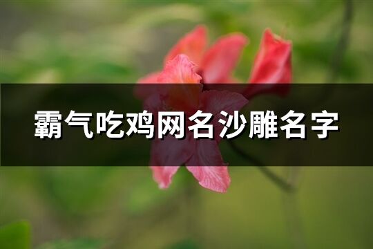 霸气吃鸡网名沙雕名字(优选198个)