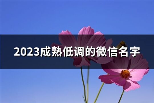 2023成熟低调的微信名字(共3175个)