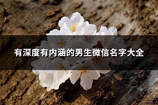 有深度有内涵的男生微信名字大全(共257个)