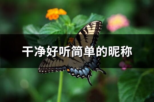 干净好听简单的昵称(优选1140个)