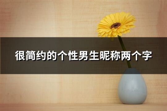 很简约的个性男生昵称两个字(精选1032个)