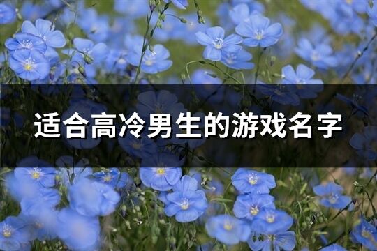 适合高冷男生的游戏名字(共517个)