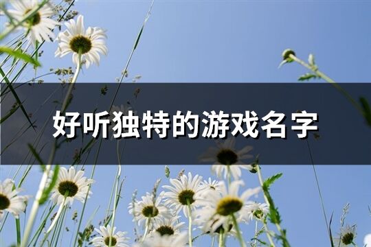 好听独特的游戏名字(优选218个)