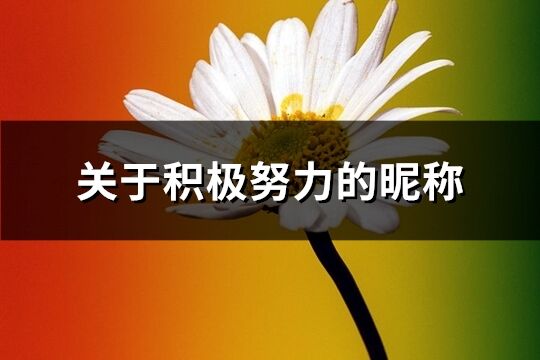 关于积极努力的昵称(171个)