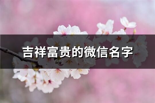 吉祥富贵的微信名字(精选699个)