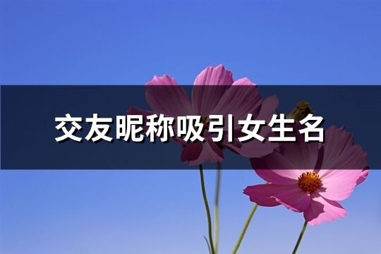 交友昵称吸引女生名(优选156个)