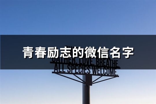 青春励志的微信名字(精选202个)