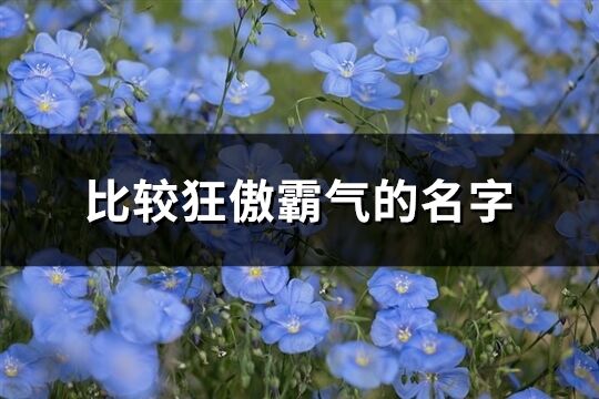 比较狂傲霸气的名字(共352个)