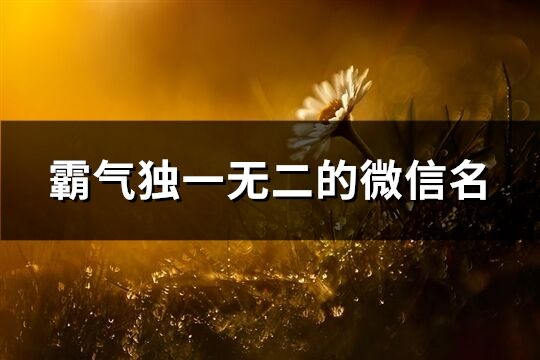 霸气独一无二的微信名(优选264个)