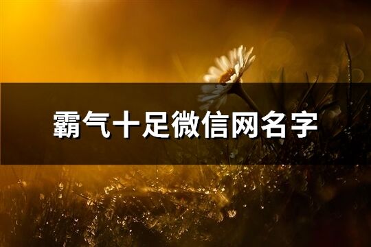 霸气十足微信网名字(共323个)