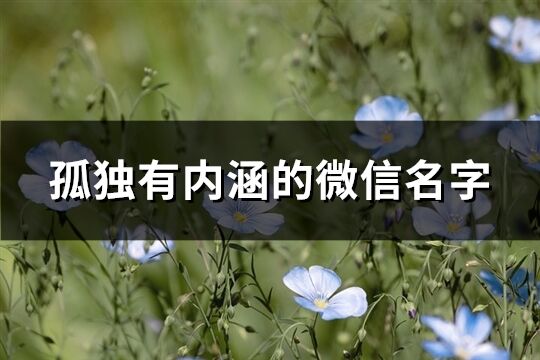 孤独有内涵的微信名字(优选82个)