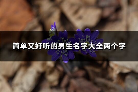 简单又好听的男生名字大全两个字(278个)