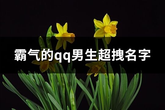 霸气的qq男生超拽名字(共201个)