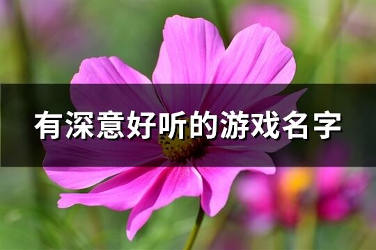 有深意好听的游戏名字(优选645个)