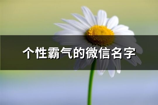 个性霸气的微信名字(共516个)