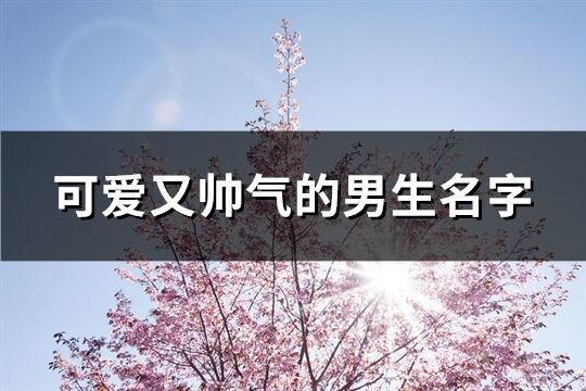 可爱又帅气的男生名字(210个)