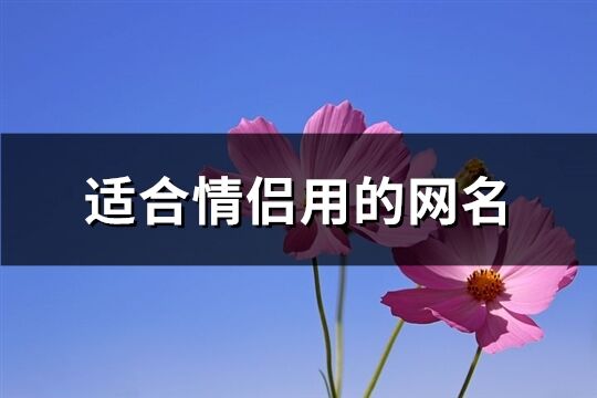 适合情侣用的网名(419个)