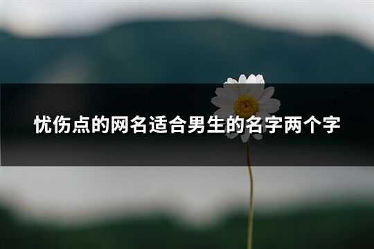 忧伤点的网名适合男生的名字两个字(优选1335个)