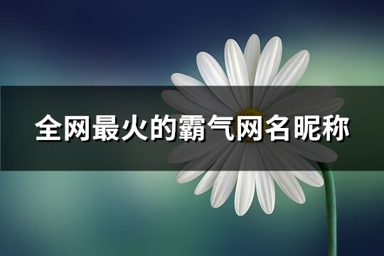 全网最火的霸气网名昵称(537个)