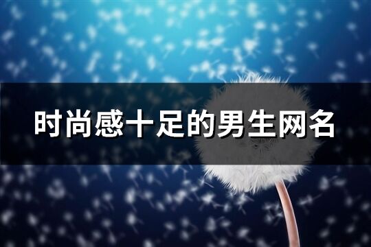 时尚感十足的男生网名(300个)