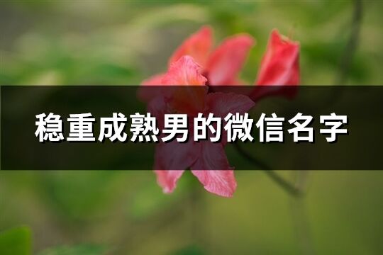 稳重成熟男的微信名字(2107个)